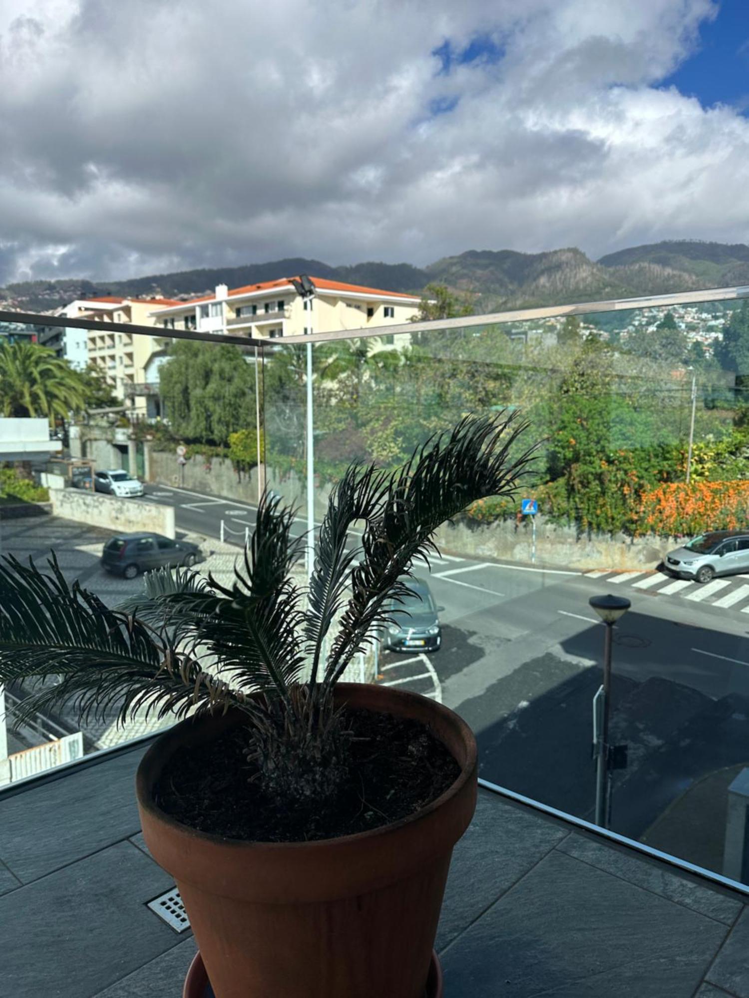Raphael Funchal Views Apartment Eksteriør billede